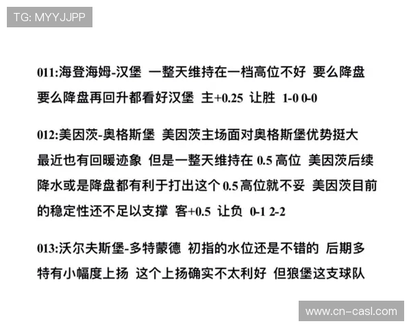 海登海姆0-2负于汉堡，保级压力持续增大